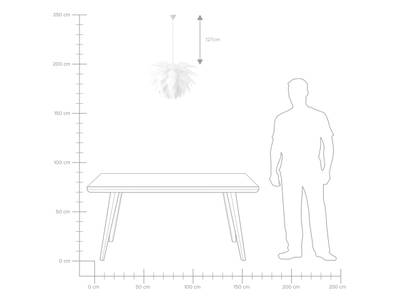 Plan & Dimensions