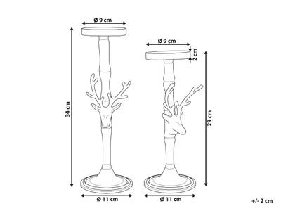 Plan & Dimensions