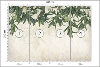 Plan & Dimensions