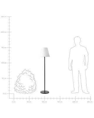 Plan & Dimensions