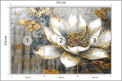 Plan & Dimensions