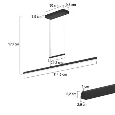 Plan & Dimensions