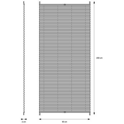 Plan & Dimensions