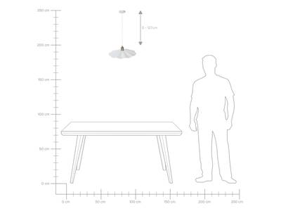 Plan & Dimensions