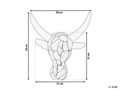 Plan & Dimensions