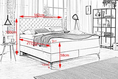 Plan & Dimensions