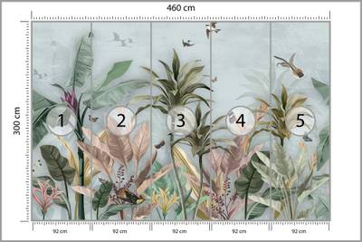 Plan & Dimensions