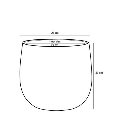 Plan & Dimensions