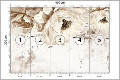 Plan & Dimensions