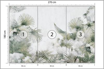 Plan & Dimensions