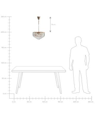 Plan & Dimensions