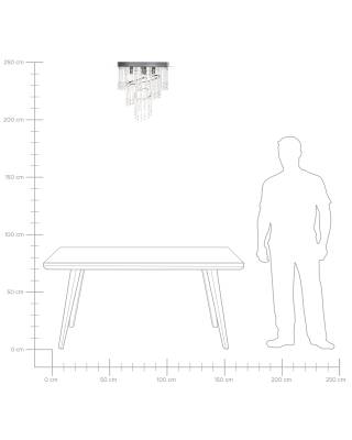 Plan & Dimensions