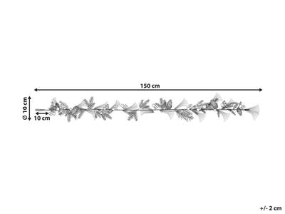 Plan & Dimensions