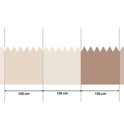 Plan & Dimensions