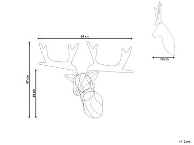 Plan & Dimensions