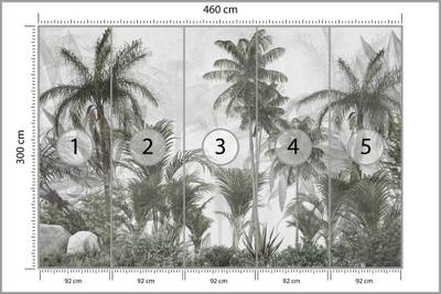 Plan & Dimensions