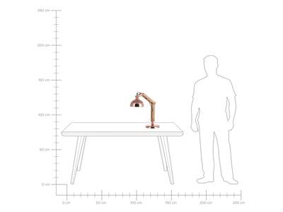 Plan & Dimensions