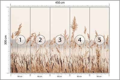 Plan & Dimensions