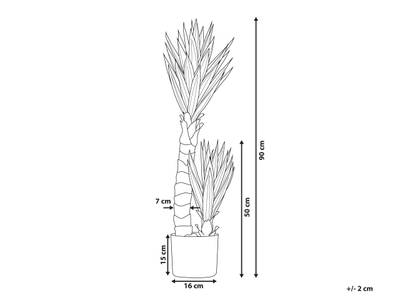 Plan & Dimensions