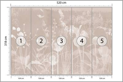 Plan & Dimensions