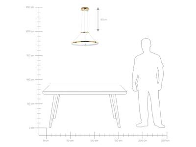 Plan & Dimensions