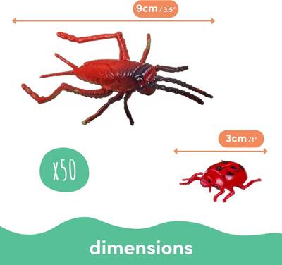 Plan & Dimensions