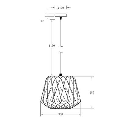 Plan & Dimensions