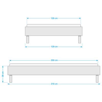 Plan & Dimensions