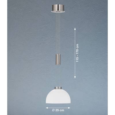 Plan & Dimensions