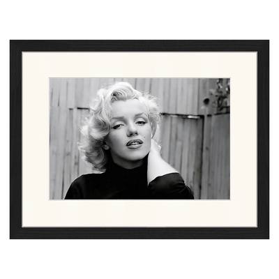 Bild Marilyn Monroe I