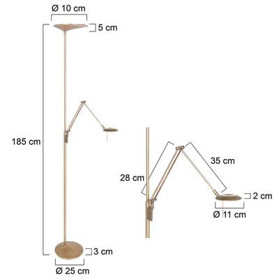 Plan & Dimensions