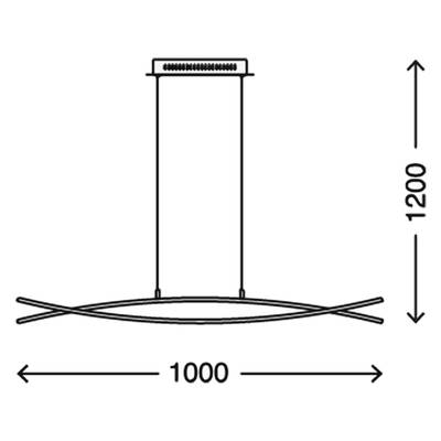 Plan & Dimensions