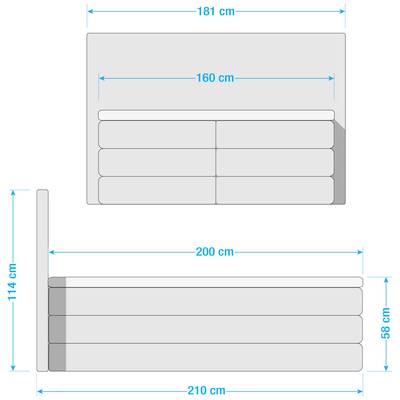 Plan & Dimensions