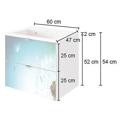 Plan & Dimensions