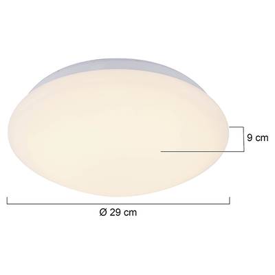 Plan & Dimensions