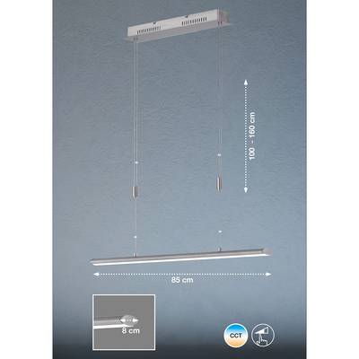 Plan & Dimensions