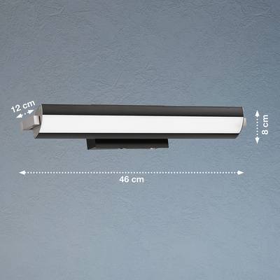 Plan & Dimensions