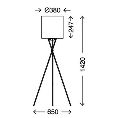 Plan & Dimensions