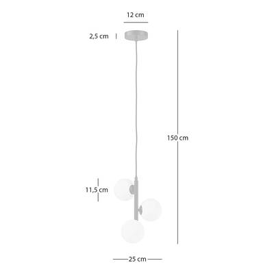 Plan & Dimensions