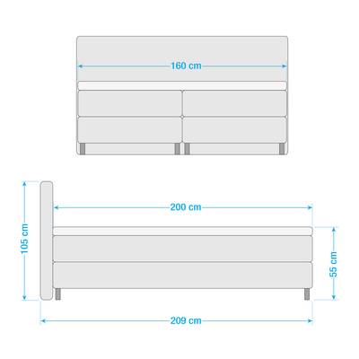 Plan & Dimensions