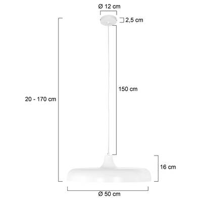 Plan & Dimensions