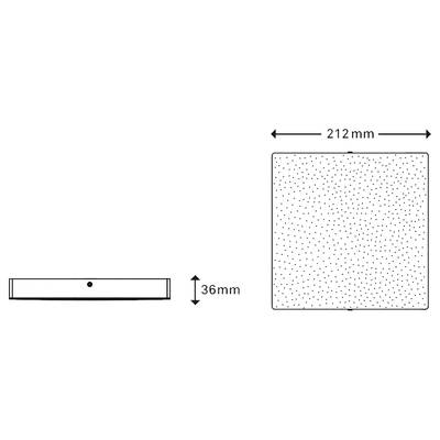 Plan & Dimensions