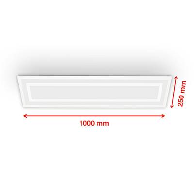 Plan & Dimensions