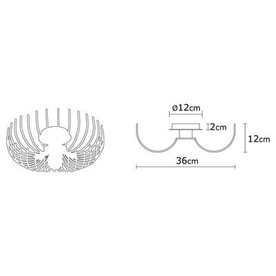 Plan & Dimensions