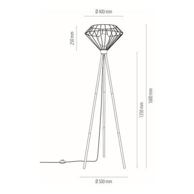 Plan & Dimensions