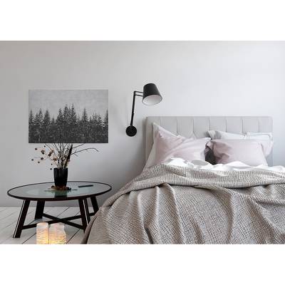 Leinwandbild Black Forest