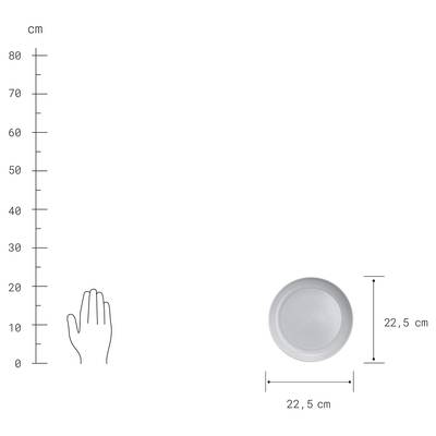 Plan & Dimensions