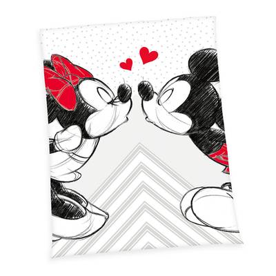 Plaid Mickey und Minnie