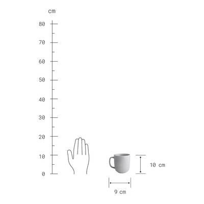 Plan & Dimensions