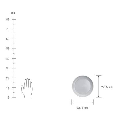 Plan & Dimensions